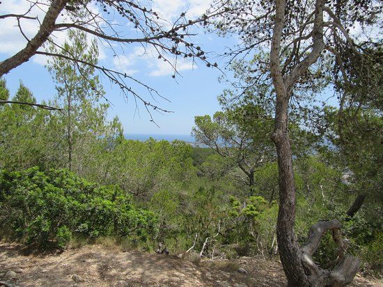 la Creu d'en Ribes
