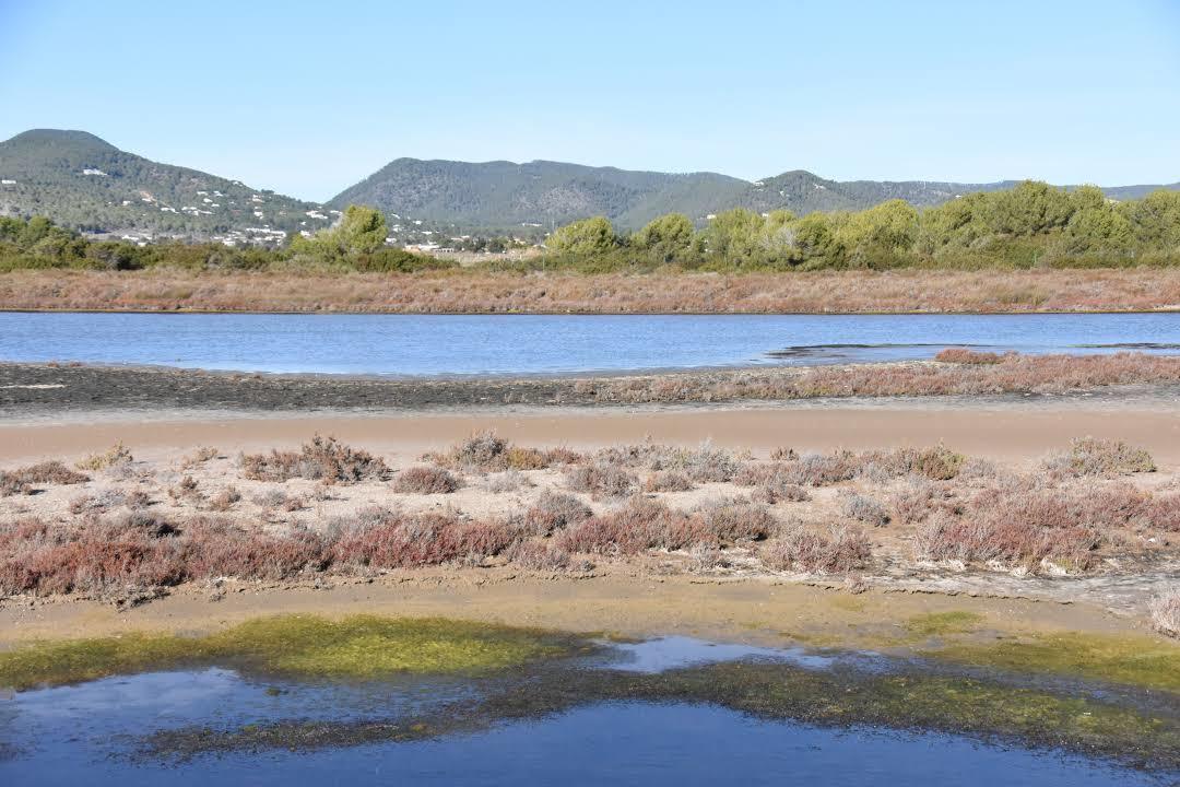 Plage des Salinas