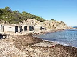 el Pou des Lleó