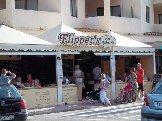 Flippers