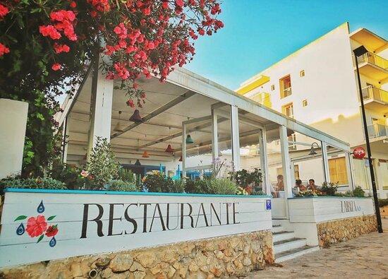Zaibiza Cafe