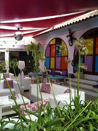 Tulp Beach Cafe