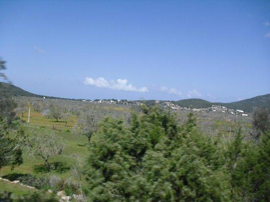 Cami Pla de Corona