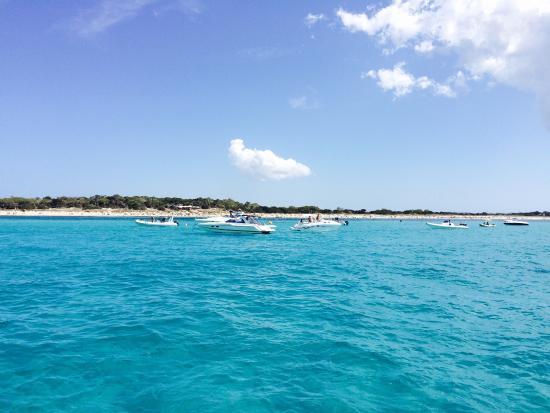 Lux Charters Ibiza